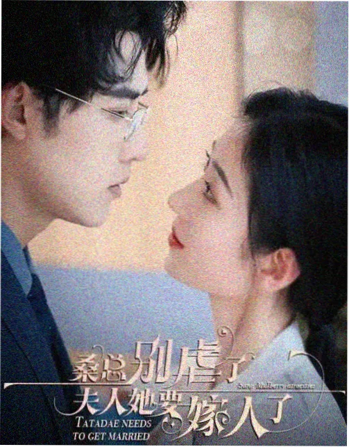莲花楼 免费在线观看电视剧